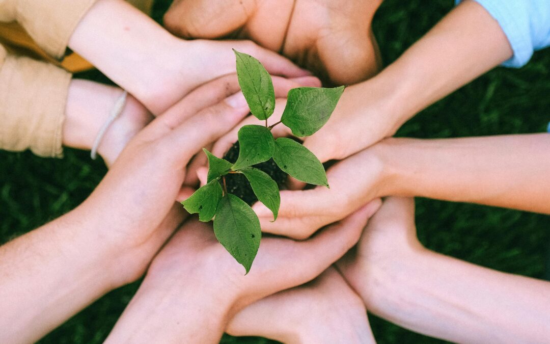 Servicio de atención a la familia (S.A.F)