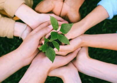 Servicio de atención a la familia (S.A.F)